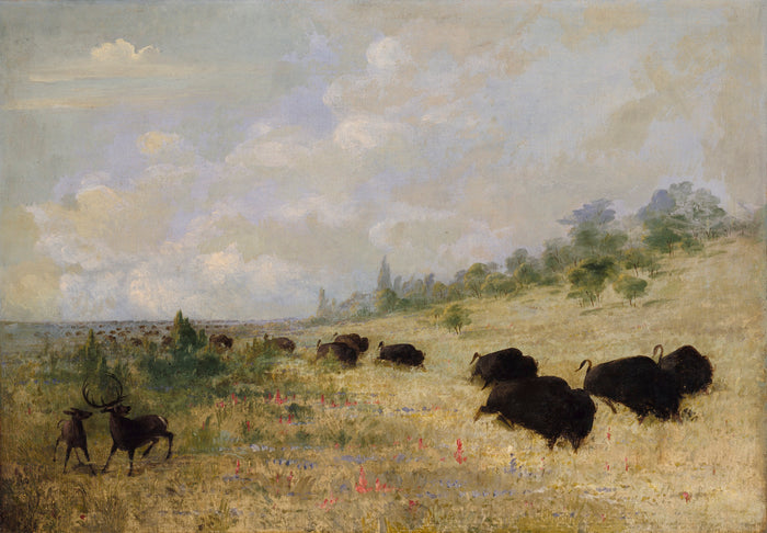 George Catlin:Elk and Buffalo Grazing among Prairie Flowers,,16x12