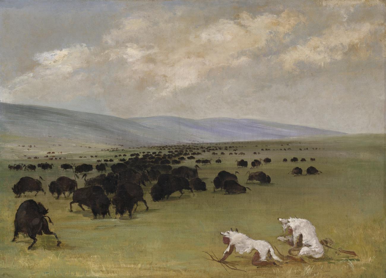 George Catlin:Catlin and His Indian Guide Approaching Buffal,16x12"(A3)Poster
