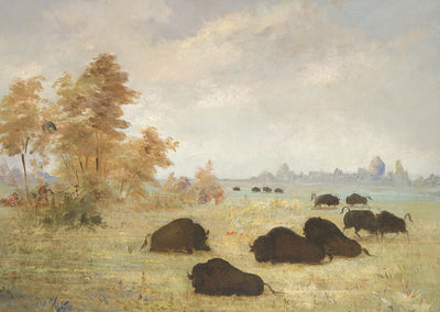 George Catlin:Stalking Buffalo, Arkansas,16x12"(A3)Poster