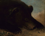 George Catlin:Portraits of a Grizzly Bear and Mouse, Life Si,16x12"(A3)Poster