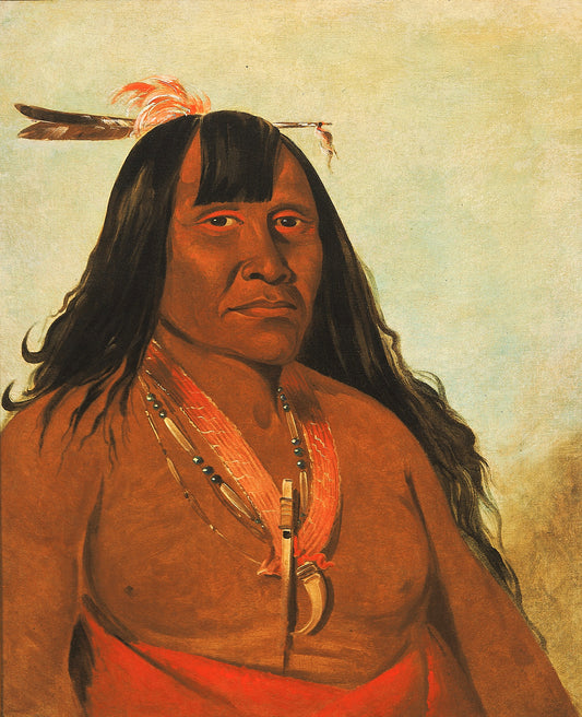 George Catlin:Bón-són-gee, New Fire, a Band Chief,16x12"(A3)Poster