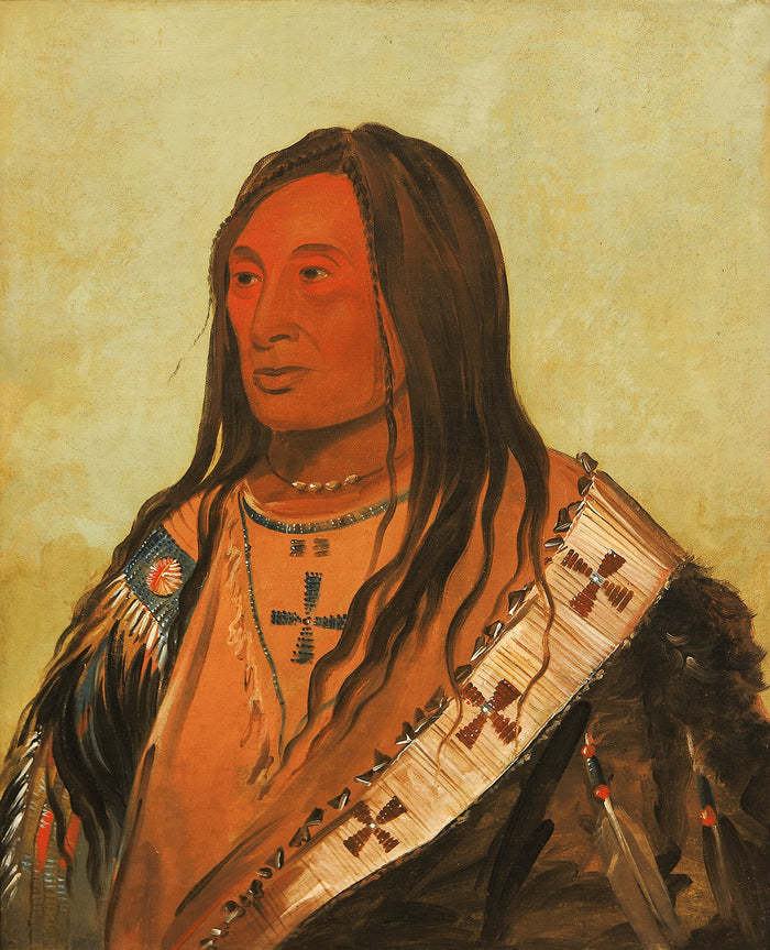 George Catlin:Táh-zee-keh-dá-cha, Torn Belly, a Distinguis,16x12