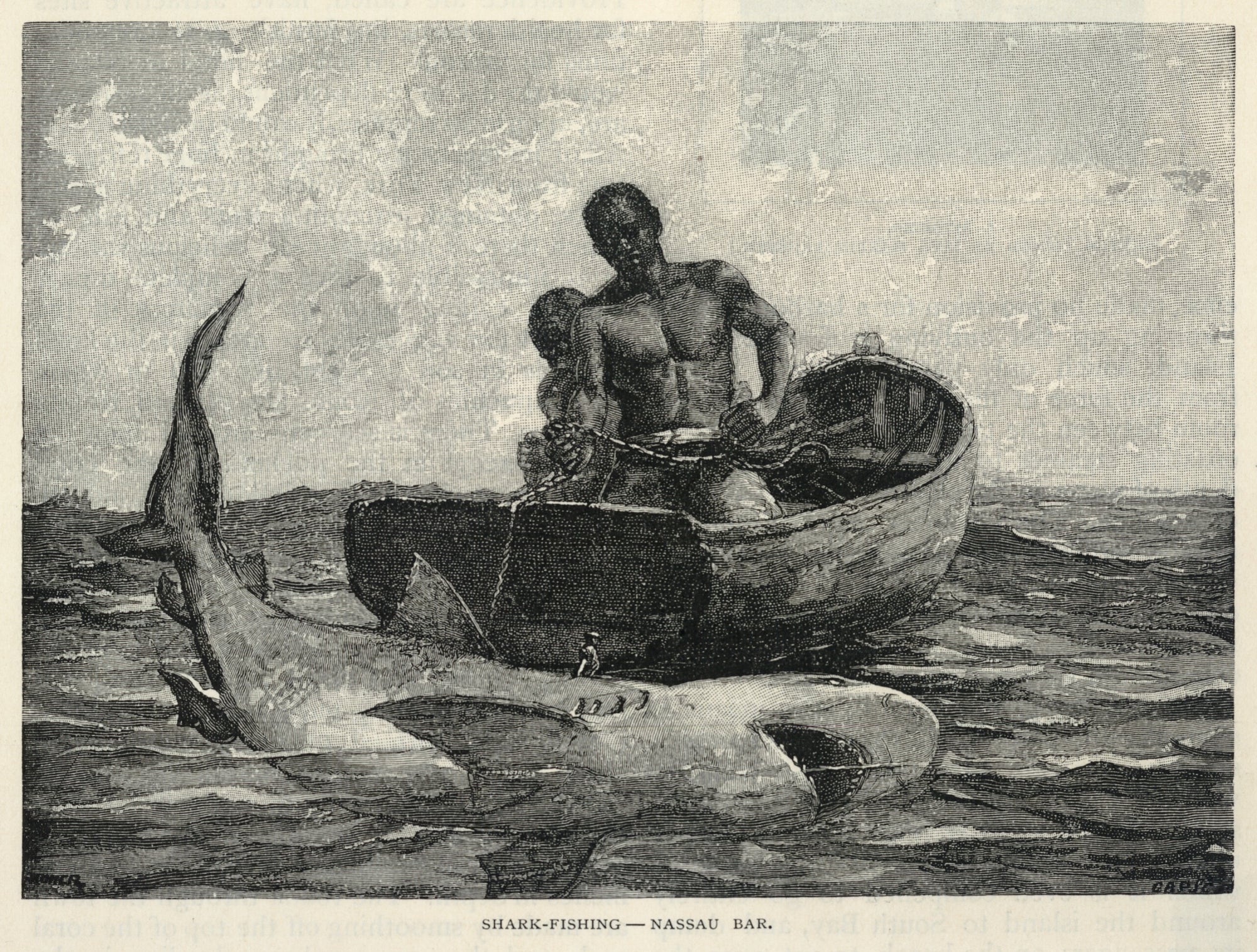 Winslow Homer:A Peddler, A Nassau Gateway, Shark-Fishing--Na,16x12"(A3)Poster