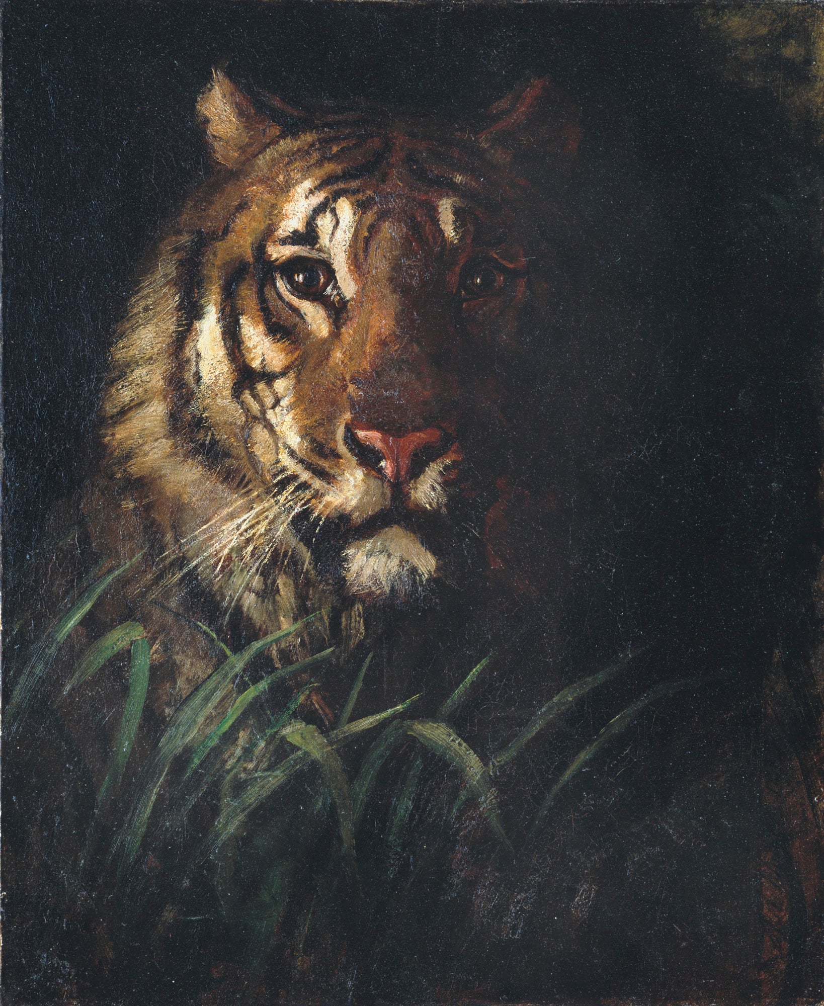 Abbott Handerson Thayer:Tiger's Head,16x12"(A3)Poster