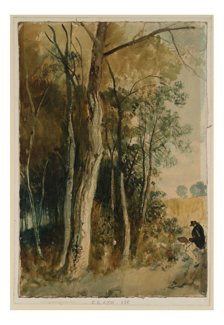 Study of Trees, 1820-30 by John Mallord William Turner RA