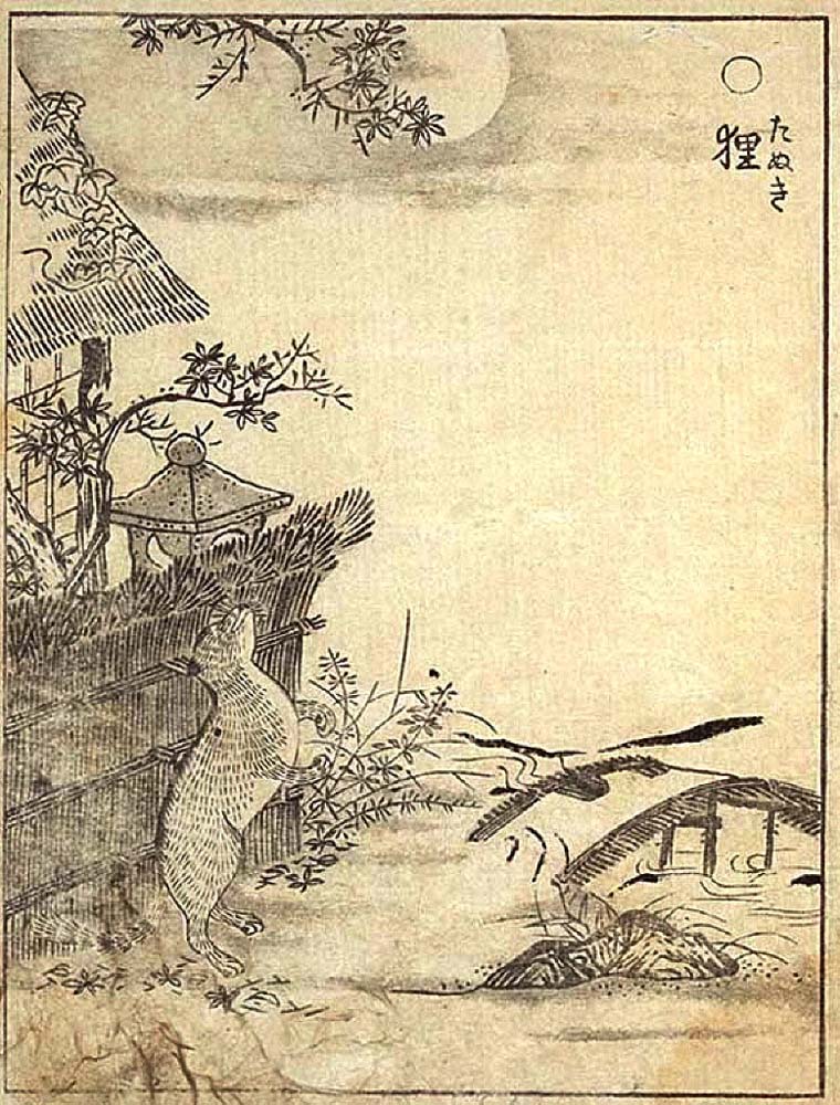 Tanuki2, historic, vintage ukiyo-e Japan artwork,12x8"(A4) Poster Print