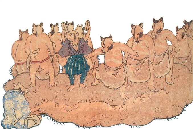 Tanuki dohyo-iri2, historic, vintage ukiyo-e Japan artwork,12x8