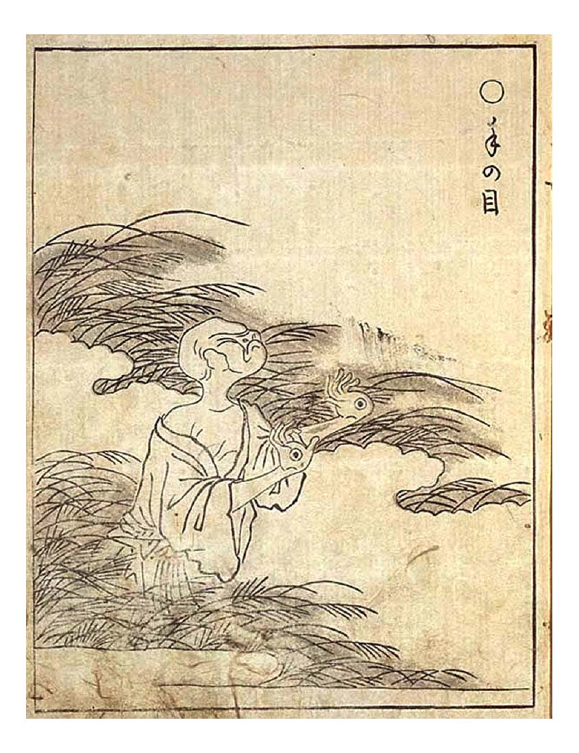 Tenome2, historic, vintage ukiyo-e Japan artwork,12x8"(A4) Poster Print