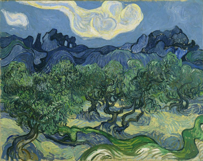 Vincent van Gogh - The Olive Trees, vintage art, modern poster print