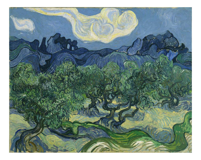 Vincent van Gogh - The Olive Trees, 16x12