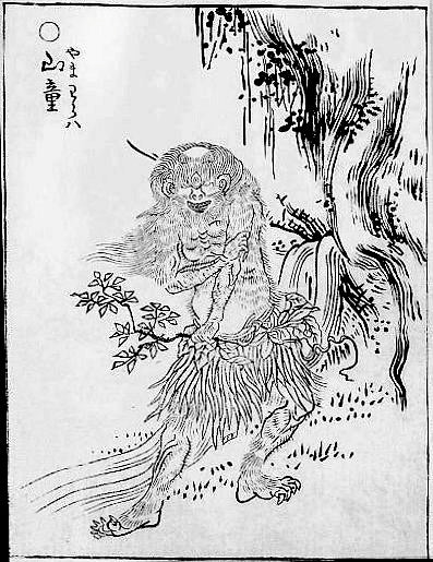 Yamawarawa, historic, vintage ukiyo-e Japan artwork,12x8"(A4) Poster Print