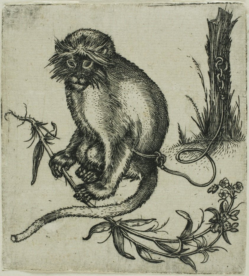A Chained Monkey by  Franz Brun, 23x16"( A2 size) Poster Print