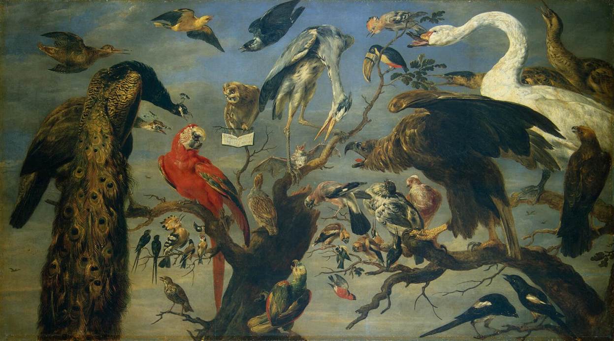 A Concert of Birds, vintage artwork by Frans Snyders, A3 (16x12") Poster Print