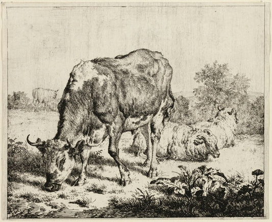 A Cow and Three Sheep by  Adriaen van de Velde, 23x16"( A2 size ) Poster Print