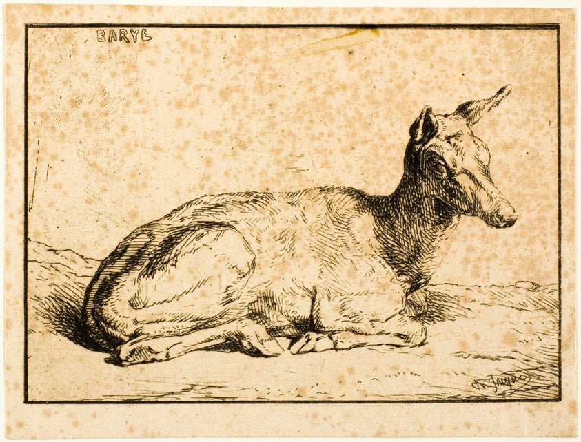 A Doe by  Charles emile Jacque (French, 1813-1894), 23x16"( A2 size ) Poster Print