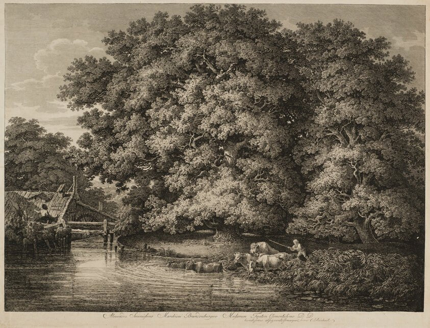 A Farmer Driving his Cattle into the Water by  Johann Christian Reinhart, 23x16"( A2 size ) Poster Print