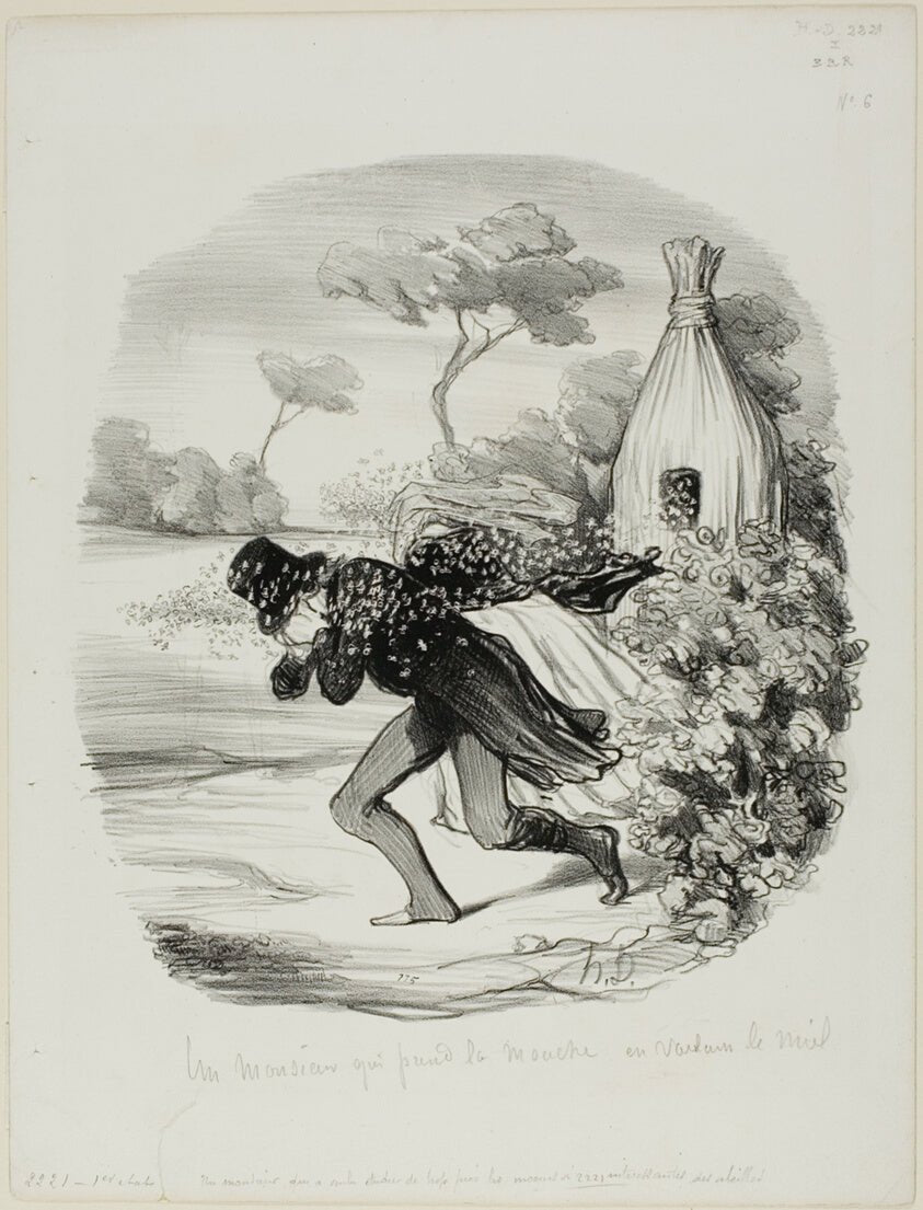 A Gentleman Who Wanted to Study the Habits of Bees too Closely, plate 6 from Pastorales by  Honore Victorin Daumier, 23x16"( A2 size ) Poster Print