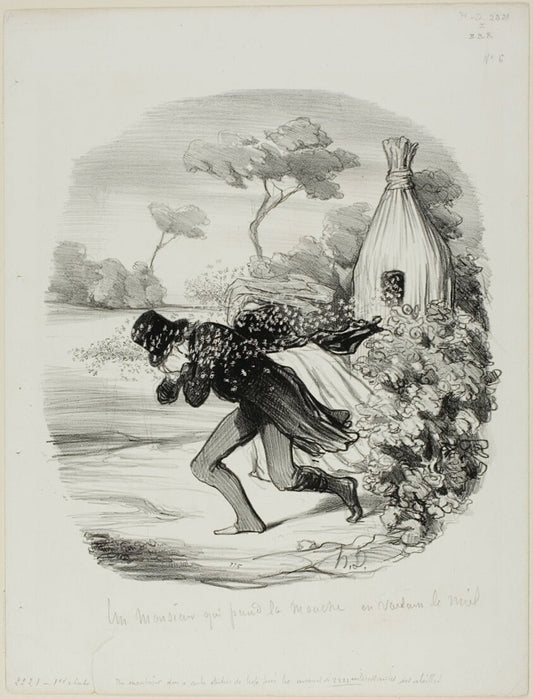 A Gentleman Who Wanted to Study the Habits of Bees too Closely, plate 6 from Pastorales by  Honore Victorin Daumier, 23x16"( A2 size ) Poster Print