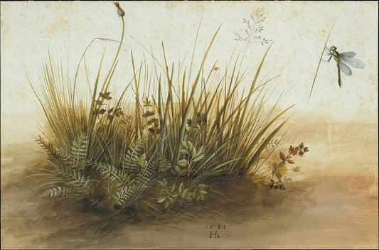 A Small Piece of Turf, vintage artwork by Hans Hoffmann, A3 (16x12") Poster Print