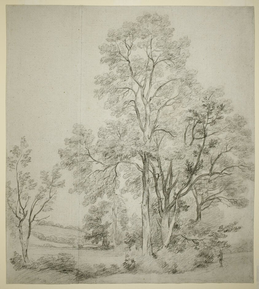 A Stand of Elm Trees (recto); A Study of East Bergholt with the Church (verso) by  John Constable, 23x16"( A2 size) Poster Print