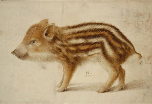 A Wild Boar Piglet, vintage artwork by Hans Hoffmann, A3 (16x12") Poster Print