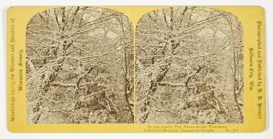 A Winter's Morning. Among the Boughs. by  Henry Hamilton Bennett, 23x16"( A2 size) Poster Print