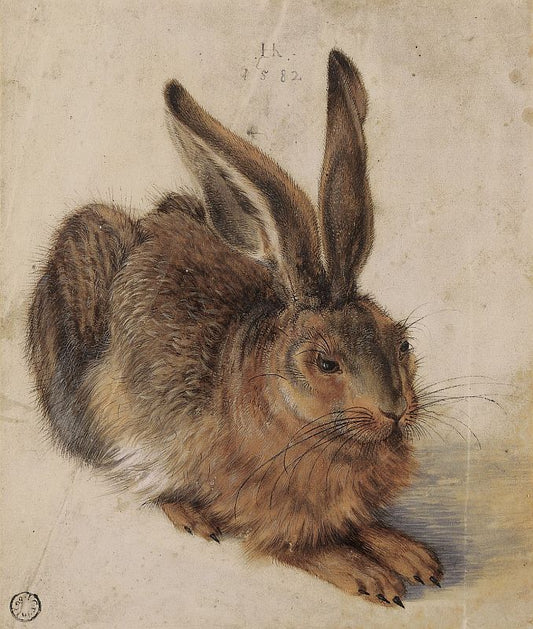 A Young Hare, vintage artwork by Hans Hoffmann, A3 (16x12") Poster Print