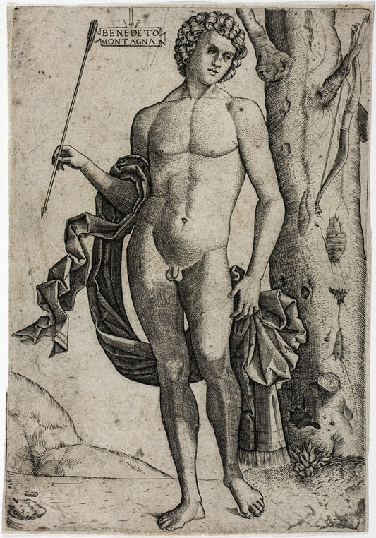 A Young Man with an Arrow by  Benedetto Montagna, 23x16"( A2 size) Poster Print
