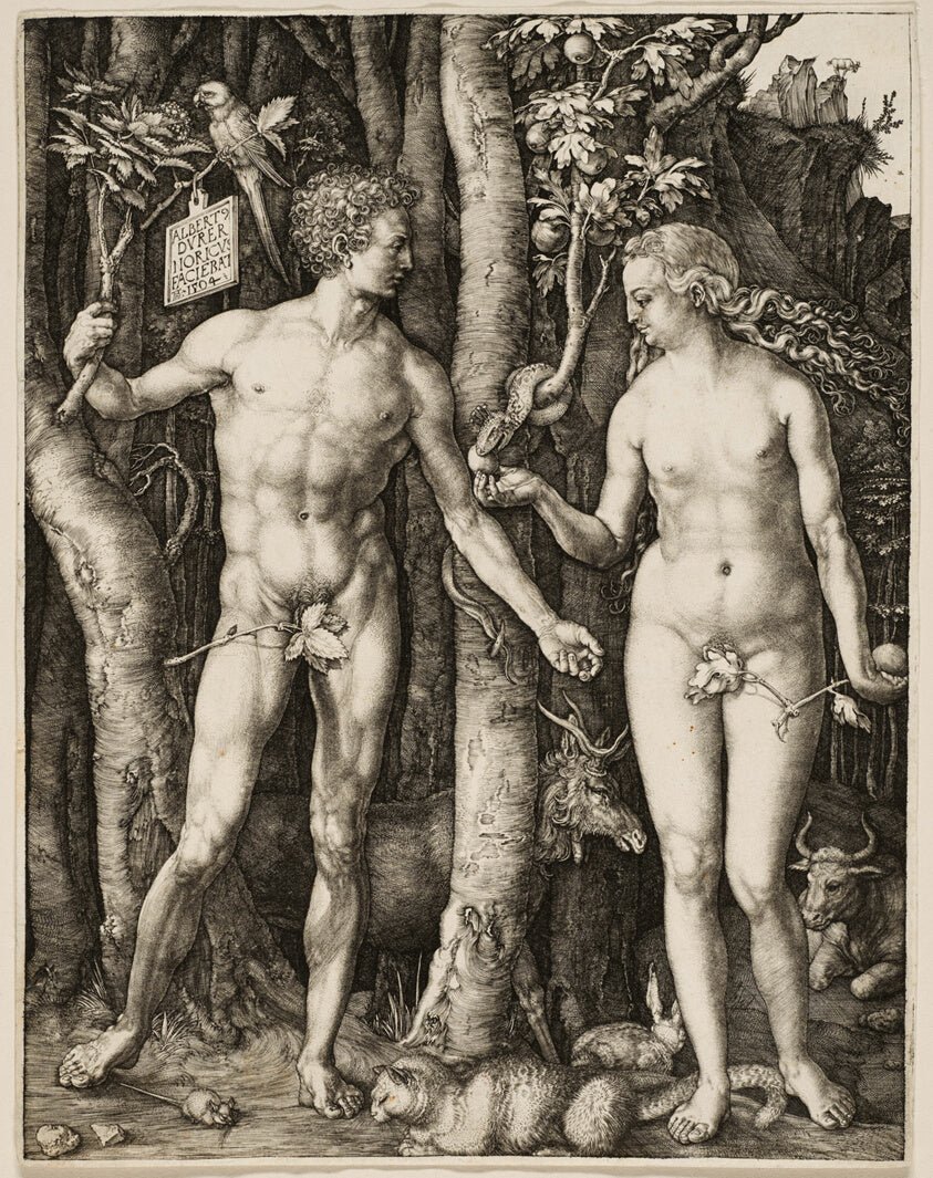 Adam and Eve by  Albrecht Dürer, 23x16"( A2 size) Poster Print