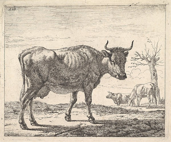 Adriaen van de Velde:Three Cows , vintage artwork, 16x12"(A3) Poster Print