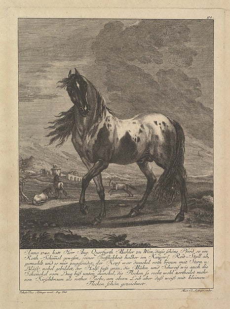 After Johann Elias Ridinger:Horse 17th–18th Century, vintage artwork, 16x12"(A3) Poster Print