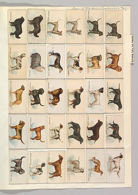 Album 214 page 3 19th century-16x12"(A3) Poster