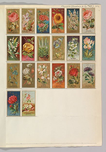 Album 214 page 6 19th century-16x12"(A3) Poster