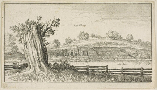 Albury with Tree-Stump in Foreground by  Wenceslaus Hollar, 23x16"( A2 size) Poster Print