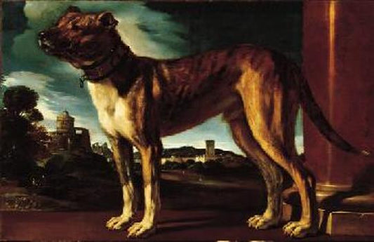 Aldrovandi Dog, vintage artwork by Guercino, 12x8" (A4) Poster