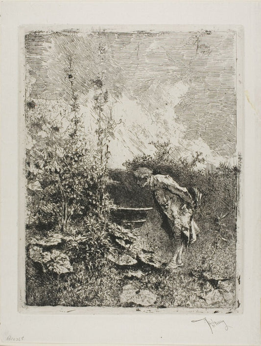 Amateur de Jardin by  Mariano Jose María Bernardo Fortuny y Carbó, 23x16"( A2 size) Poster Print