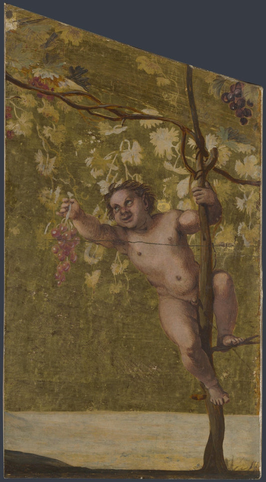 Annibale Carracci   Putto gathering Grapes, Poster in 17x13"(A3) Frame