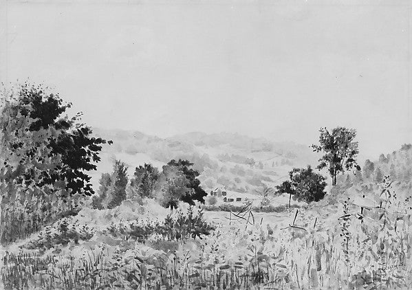 Landscape—Catskills 1895-Louis Michel Eilshemius, Poster Print - Wall Art