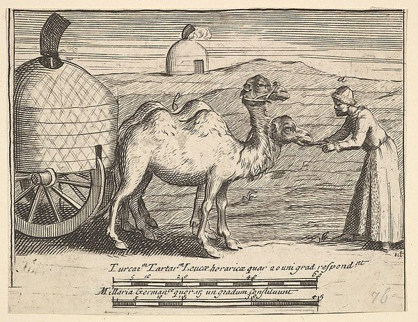 Attributed to William Hogarth:Two Dromedaries 1723–24, vintage artwork, 16x12"(A3) Poster Print