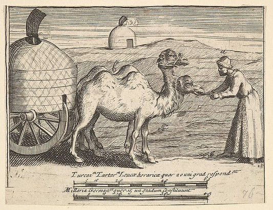 Attributed to William Hogarth:Two Dromedaries 1723–24, vintage artwork, 16x12"(A3) Poster Print