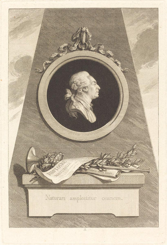 Augustin de Saint-Aubin after Piat Joseph Sauvage:Comte de B,16x12"(A3) Poster