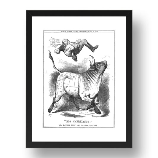 Bos Americanus Yankee Beef Imports British Butcher Victorian  1877 A4, vintage historic poster in 17x13"(A3) Frame