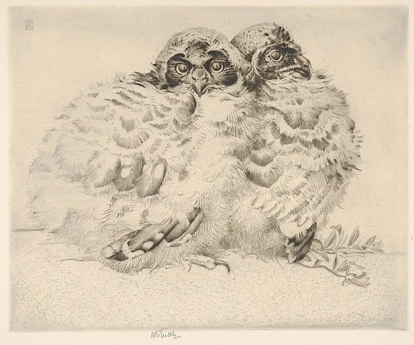 Brothers of the Night  1926-Henry Emerson Tuttle , vintage art, A3 (16x12") Poster Print