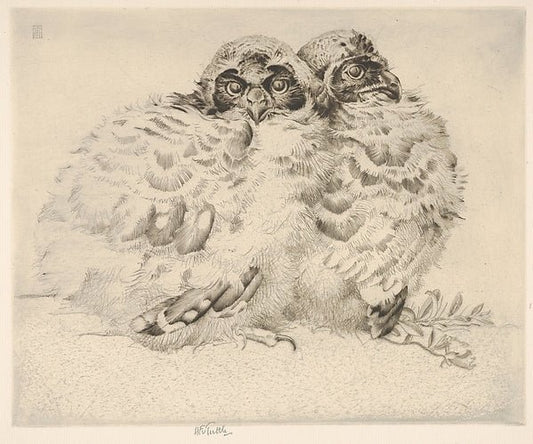 Brothers of the Night  1926-Henry Emerson Tuttle , vintage art, A3 (16x12") Poster Print