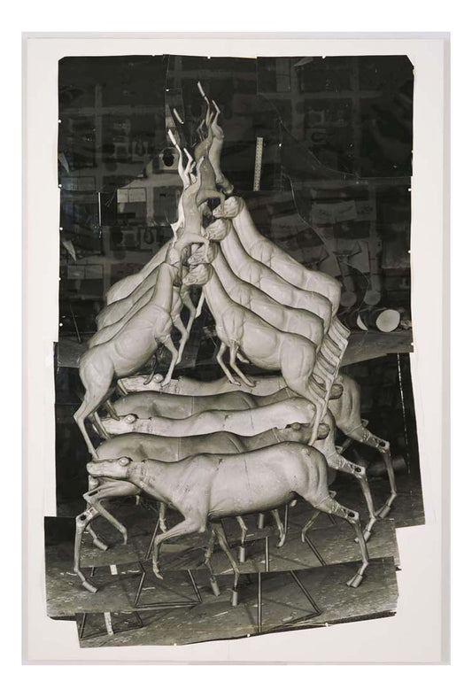 Bruce Nauman - Model for Animal Pyramid II, 16x12" (A3) Poster Print