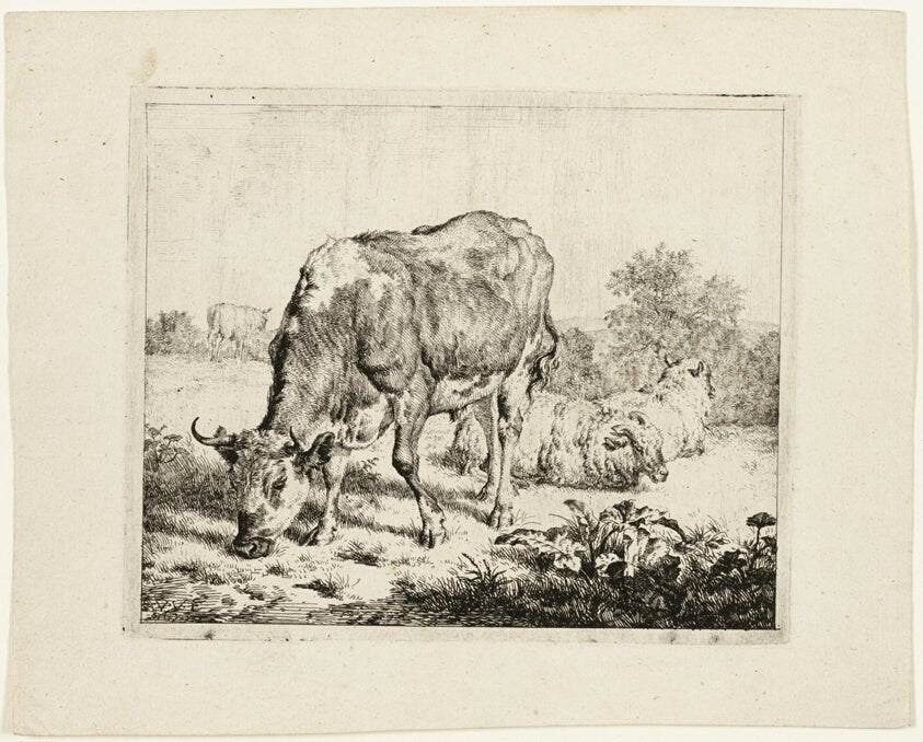 Bull Grazing and Three Sheep by  Adriaen van de Velde, 23x16"( A2 size) Poster Print