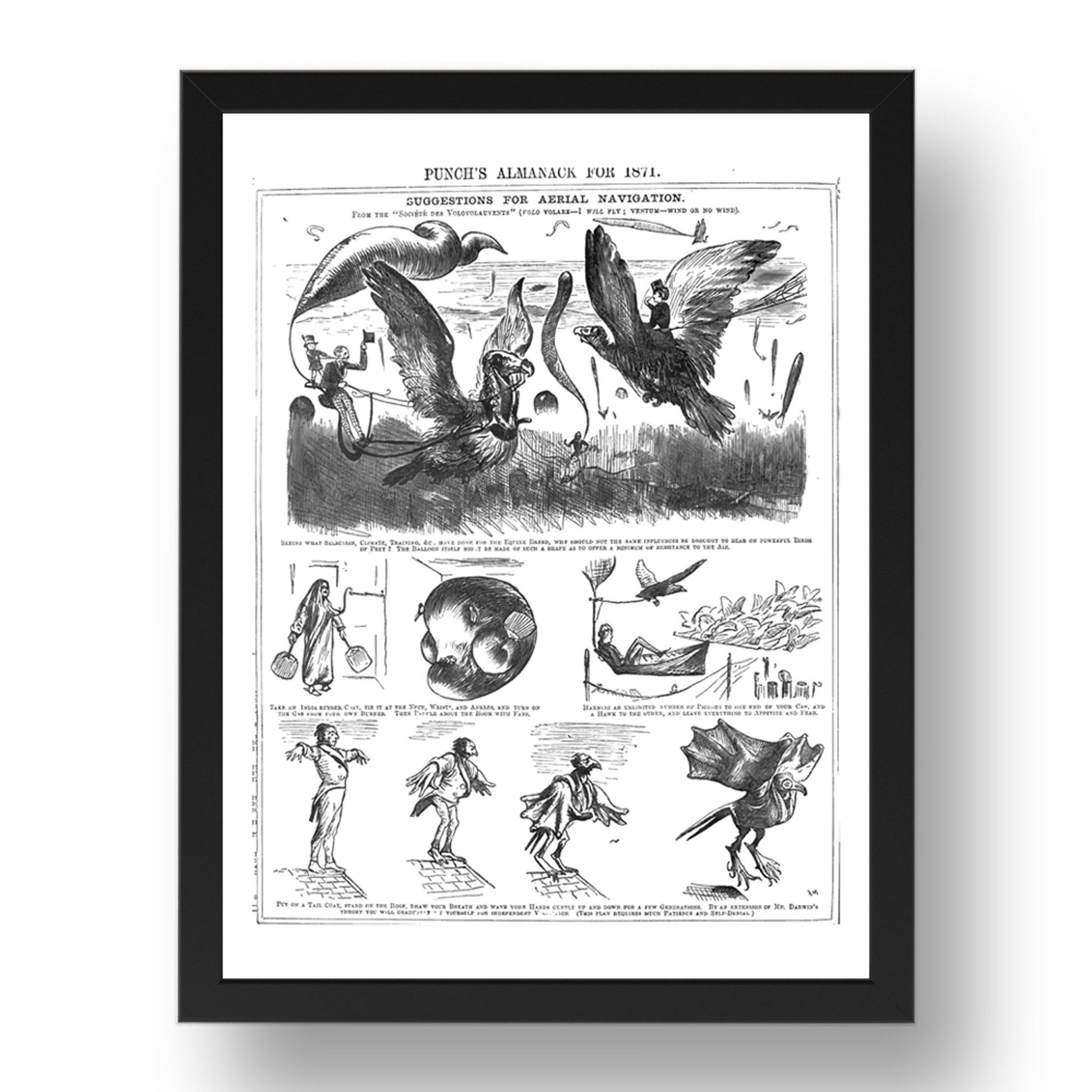 Charles Darwin Evolution Theory Cartoons 1871, vintage historic poster in 17x13"(A3) Frame