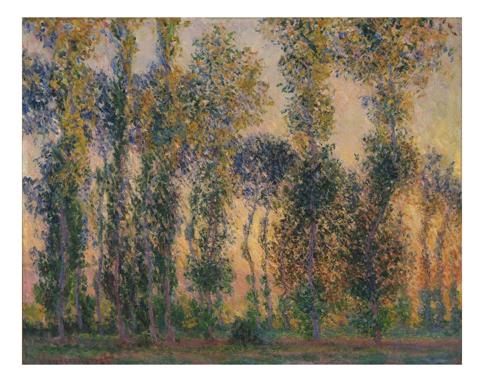 Claude Monet - Poplars at Giverny, Sunrise, 16x12" (A3) Poster Print