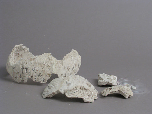 :Fragments of a Male Head 4th–7th century-16x12"(A3) Poster