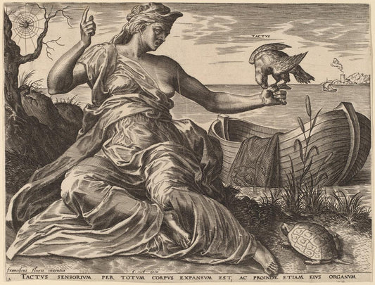 Cornelis Cort after Frans Floris I:Tactus,16x12"(A3) Poster